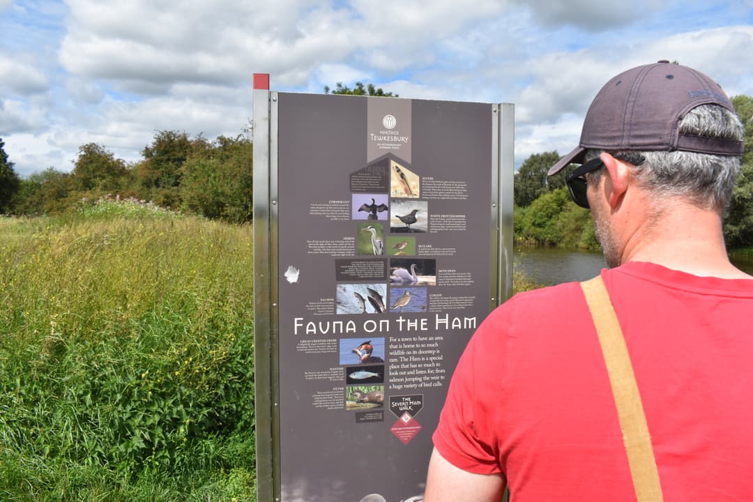 Tewkesbury Ham - image 2