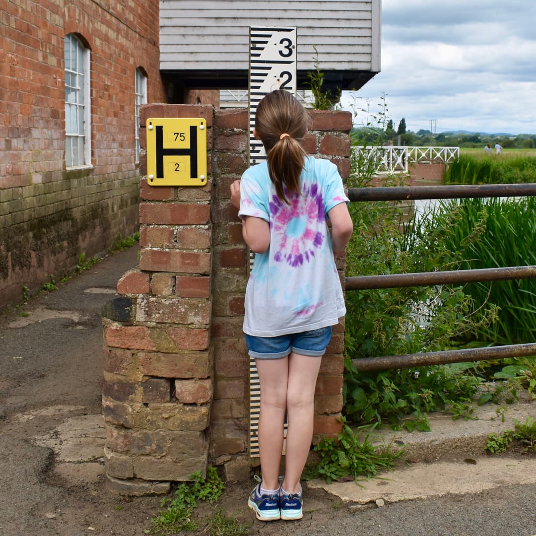 Tewkesbury Ham - image 3